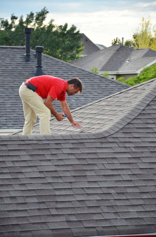 Roofing Service in Spring